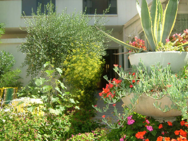 noidue-gallery-2022-003